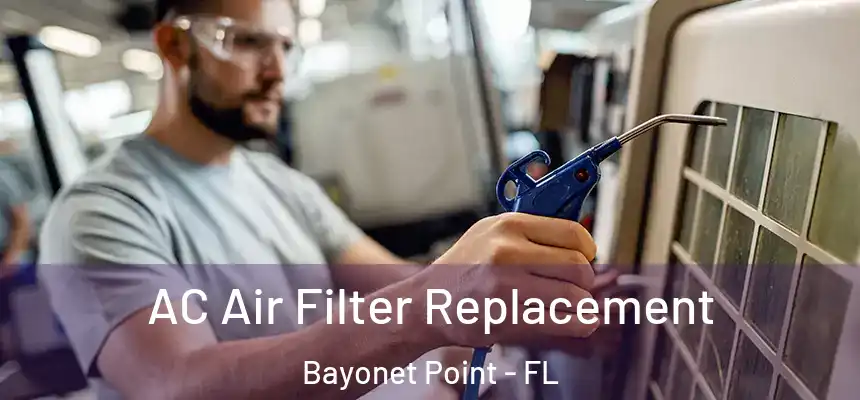  AC Air Filter Replacement Bayonet Point - FL