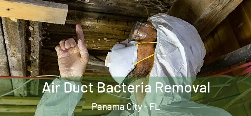 Air Duct Bacteria Removal Panama City - FL