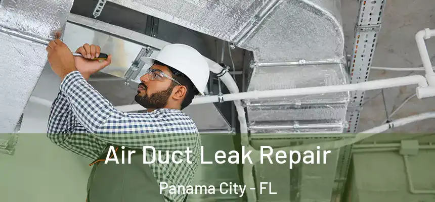  Air Duct Leak Repair Panama City - FL
