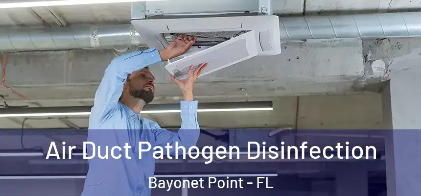 Air Duct Pathogen Disinfection Bayonet Point - FL