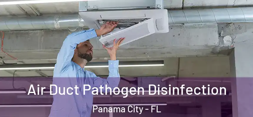 Air Duct Pathogen Disinfection Panama City - FL