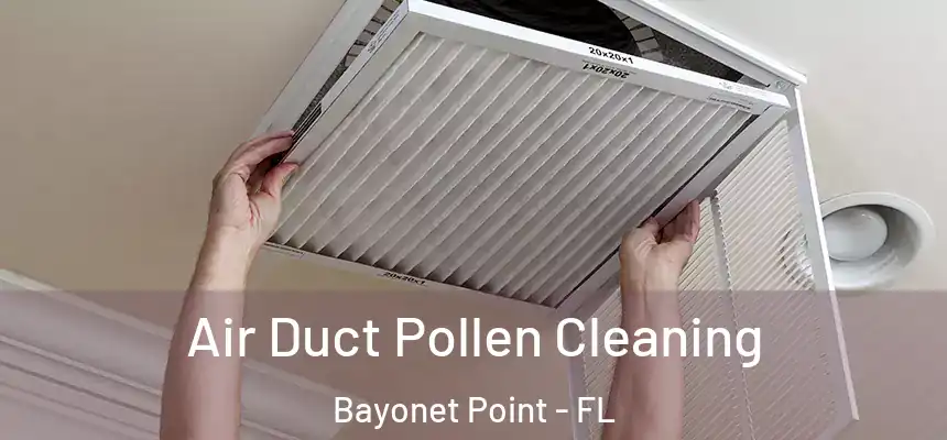  Air Duct Pollen Cleaning Bayonet Point - FL