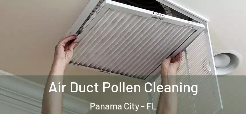 Air Duct Pollen Cleaning Panama City - FL