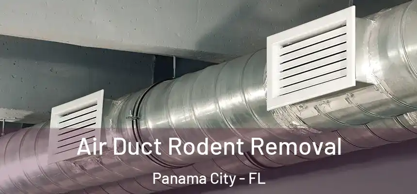 Air Duct Rodent Removal Panama City - FL