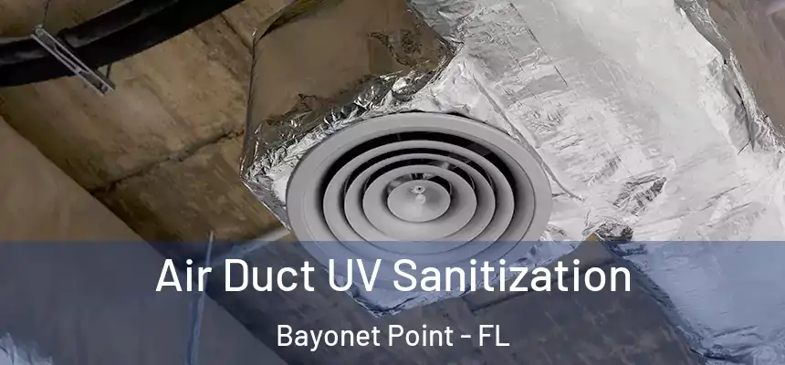 Air Duct UV Sanitization Bayonet Point - FL