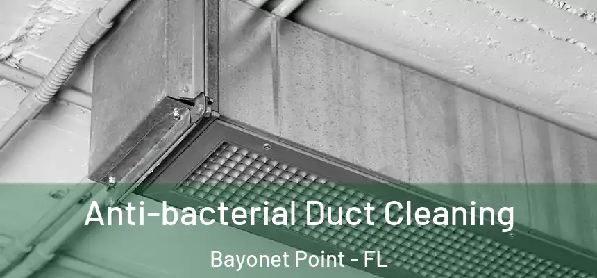  Anti-bacterial Duct Cleaning Bayonet Point - FL
