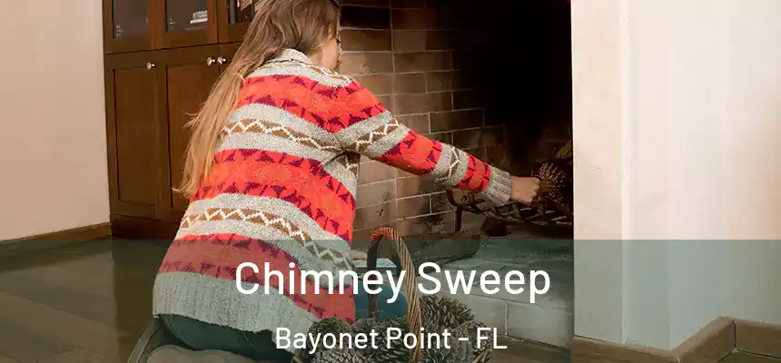 Chimney Sweep Bayonet Point - FL
