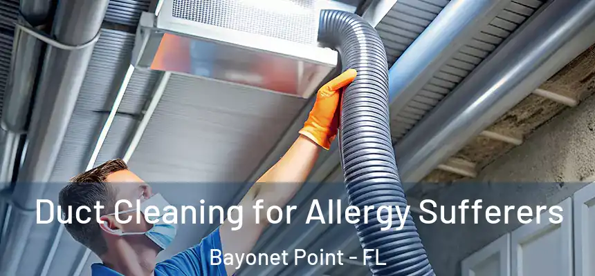 Duct Cleaning for Allergy Sufferers Bayonet Point - FL