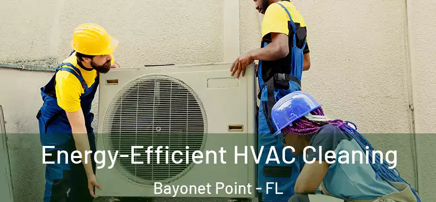 Energy-Efficient HVAC Cleaning Bayonet Point - FL