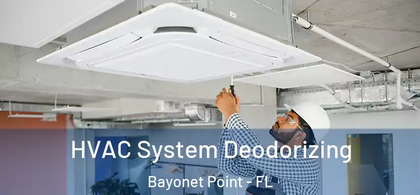  HVAC System Deodorizing Bayonet Point - FL