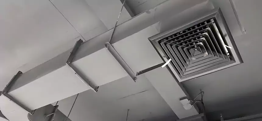 Restorative Allergy Relief Vent Cleaning – Coil, Blower & Housing Detail in Panama City