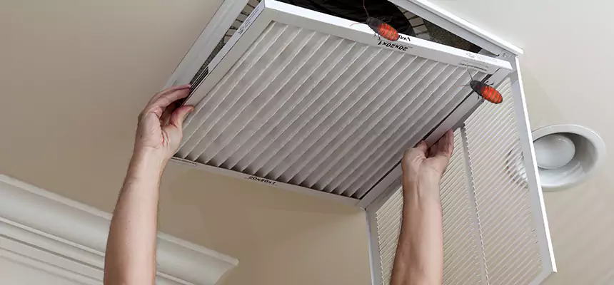 Our Insect Removal from Air Ducts Services in Panama City, FL