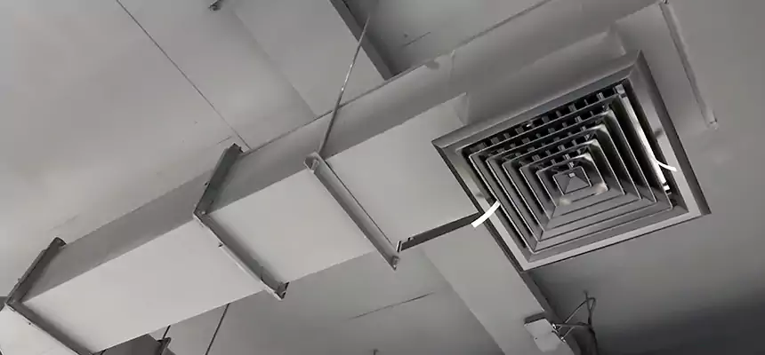 Our Rodent Droppings In Vents Services in Panama City, FL