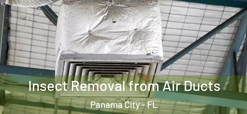 Insect Removal from Air Ducts Panama City - FL