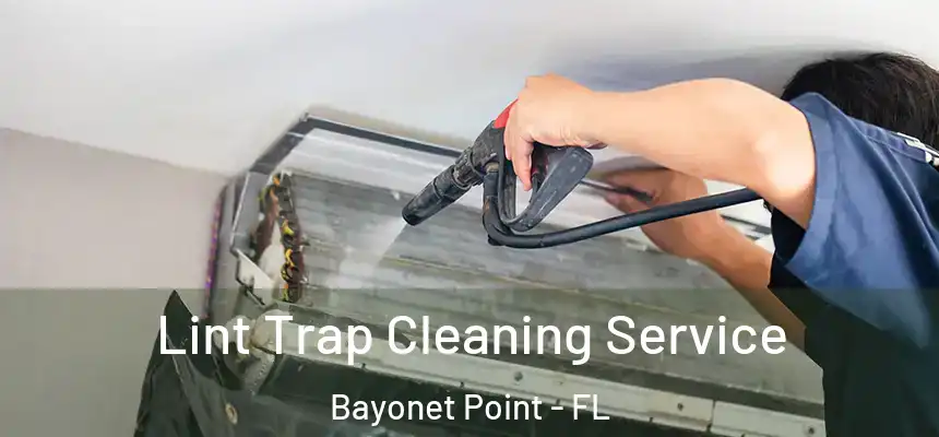 Lint Trap Cleaning Service Bayonet Point - FL