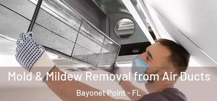 Mold & Mildew Removal from Air Ducts Bayonet Point - FL
