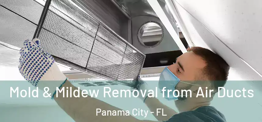 Mold & Mildew Removal from Air Ducts Panama City - FL