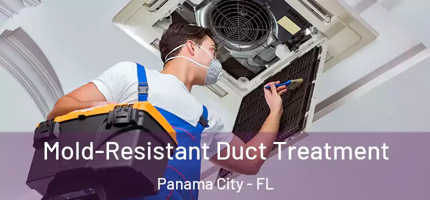  Mold-Resistant Duct Treatment Panama City - FL
