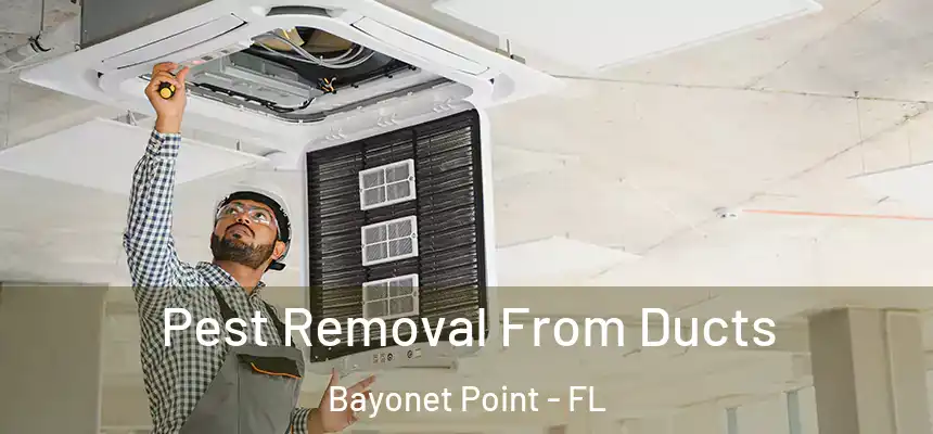 Pest Removal From Ducts Bayonet Point - FL