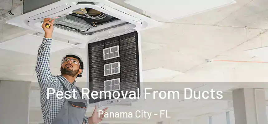 Pest Removal From Ducts Panama City - FL