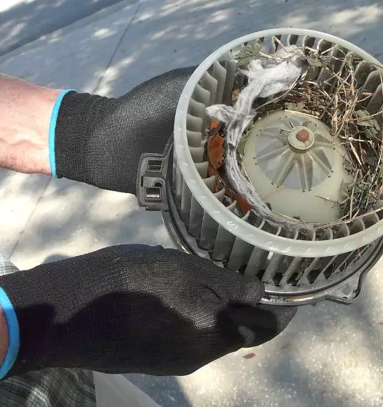 About Air Duct Rat Removal in Bayonet Point, FL