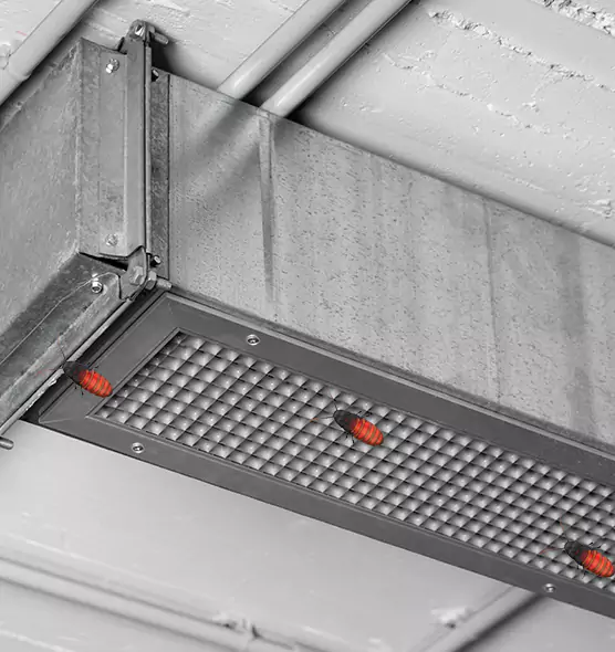 Affordable Insect Removal from Air Ducts in Bayonet Point, FL