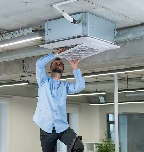 Advanced Rodent Droppings In Vents in Panama City, FL