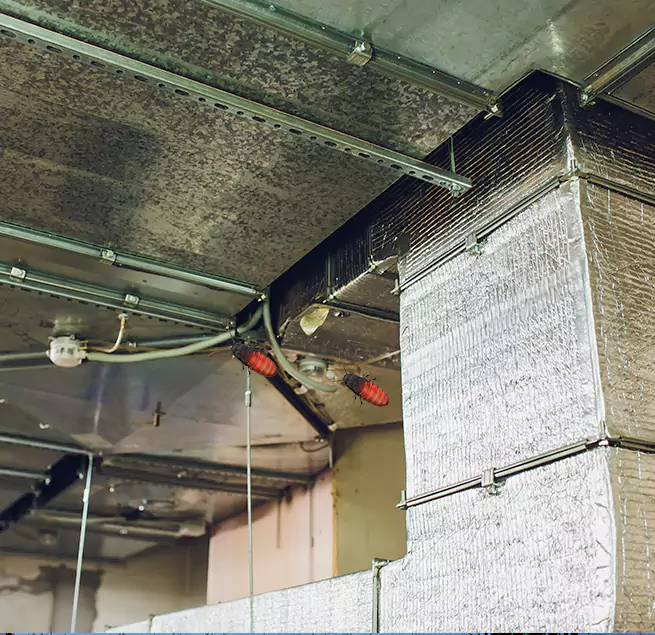 Why Homeowners & Businesses Trust Us in Panama City, FL?