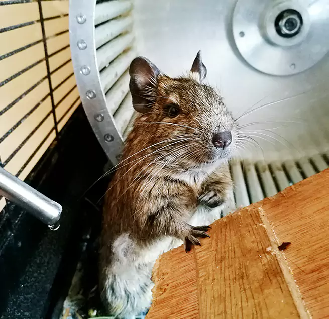 Why Homeowners & Businesses Trust Us Bayonet Point, FL