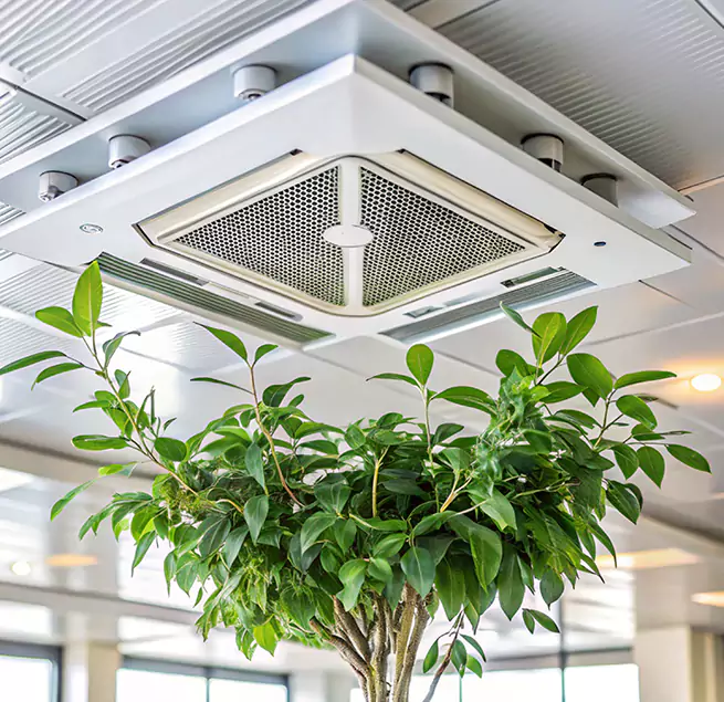 Why Homeowners & Businesses Trust Us in Panama City, FL