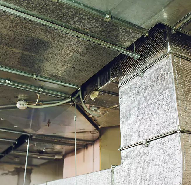 Why Homeowners & Businesses Trust Us in Bayonet Point, FL?