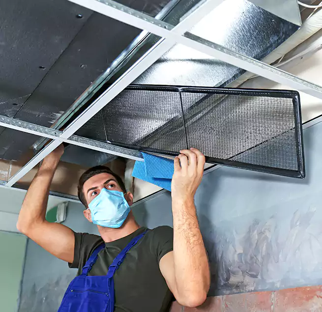 Why Homeowners Businesses Trust Us in Panama City, FL