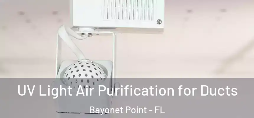 UV Light Air Purification for Ducts Bayonet Point - FL